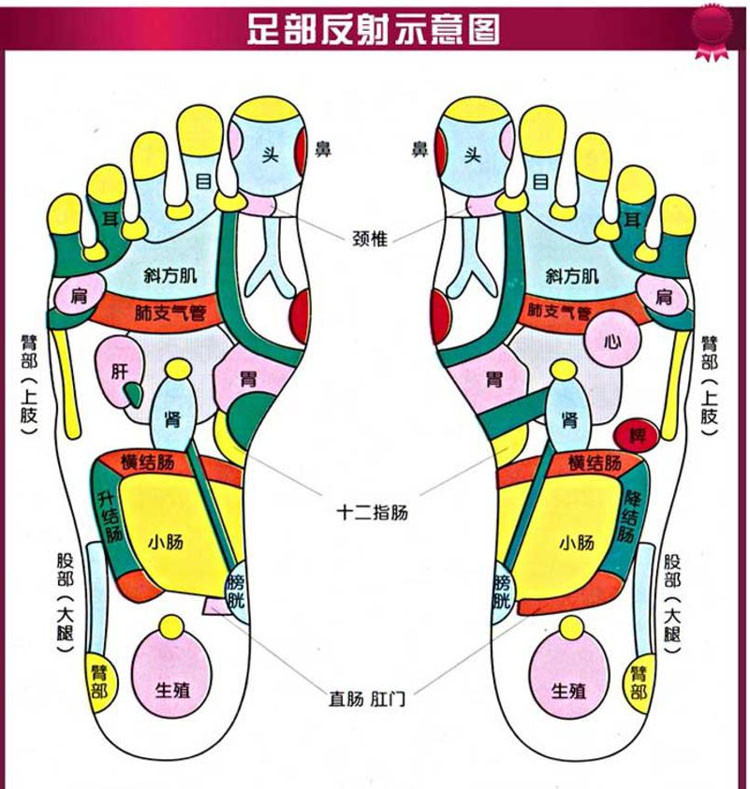 璐瑶LY-301A足疗机脚底按摩器脚部腿部足部足底穴位红外理疗足疗