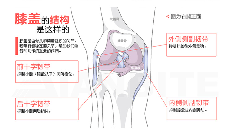 猎鹰计划 户外登山护膝2个装 篮球羽毛球运动跑步长膝卫士 男女骑行保暖护膝加厚 8ZBPS14014