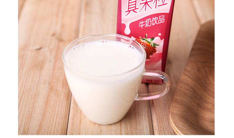 蒙牛真果粒 牛奶+果粒 草莓口味果味牛奶 250ml*12盒