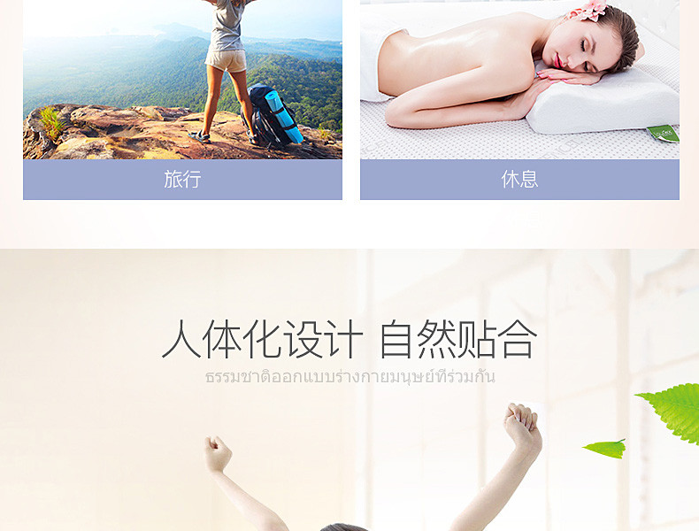 Laytex 乐泰思 泰国天然乳胶护腰靠垫 办公室靠垫 家用靠垫