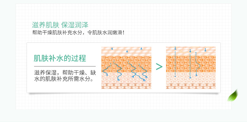 一枝春芦荟胶补水六件套温和洁净补水滋润面部护理套装化妆品9189  BQY