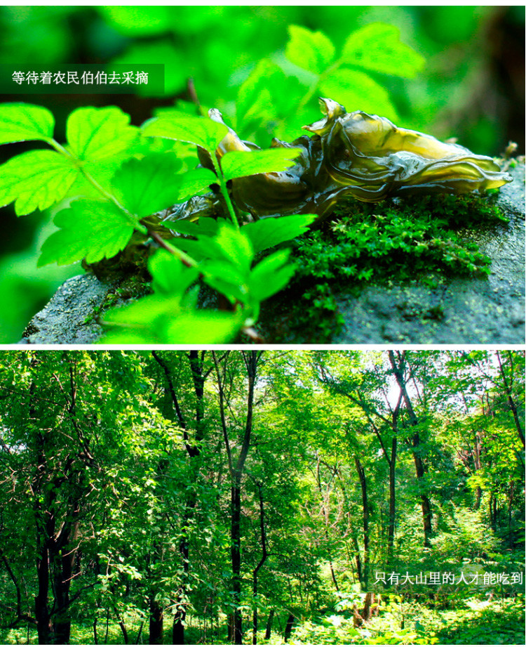 【邮乐赣州馆】百丈泉 地皮菜野生地衣干货赣南特产免洗野生食品50g包邮