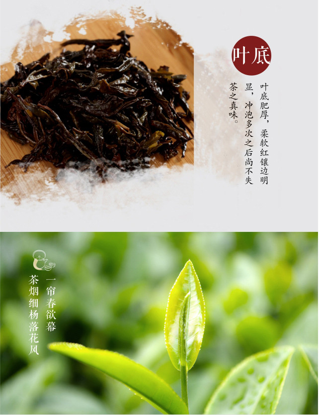 【品质如金】上犹犹江绿月犹江红茶2017新春茶叶一级嫩芽100g/1盒仅售85.8元包邮