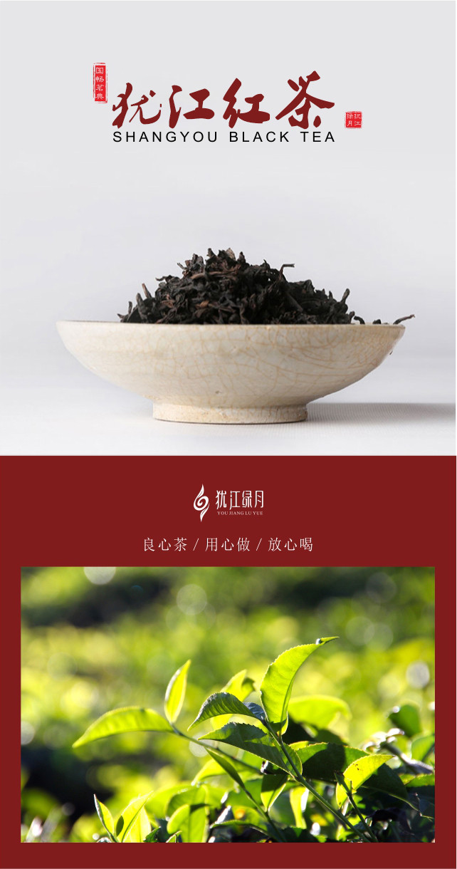 【品质如金】上犹犹江绿月犹江红茶2017新春茶叶一级嫩芽100g/1盒仅售85.8元包邮