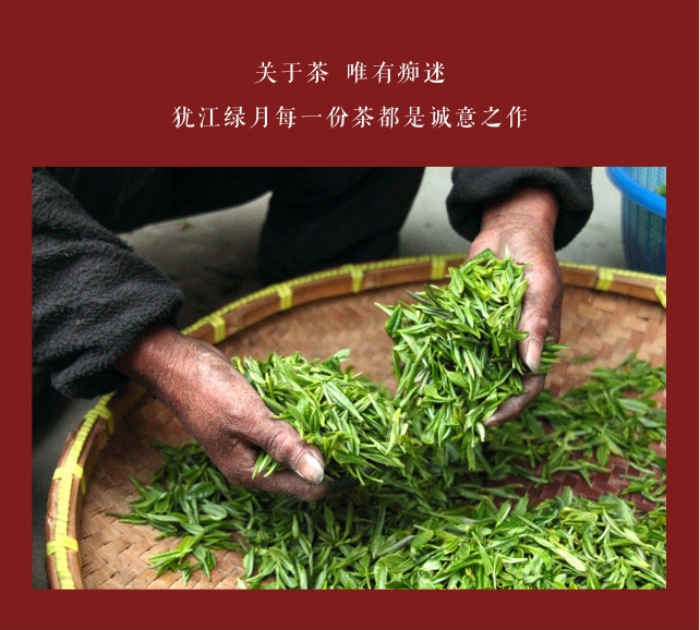 【品质如金】上犹犹江绿月犹江红茶2017新春茶叶一级嫩芽100g/1盒仅售85.8元包邮