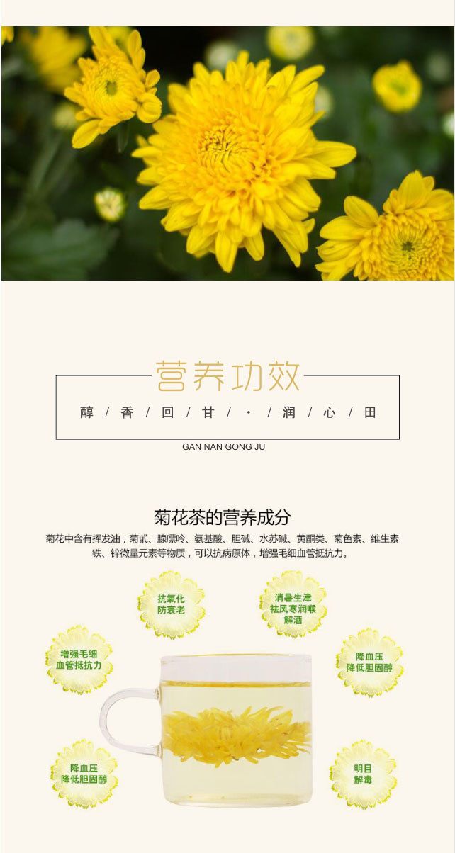 【品质如金】上犹犹江绿月佳品贡菊2017新春菊鲜菊花40g/盒仅售59.8元包邮