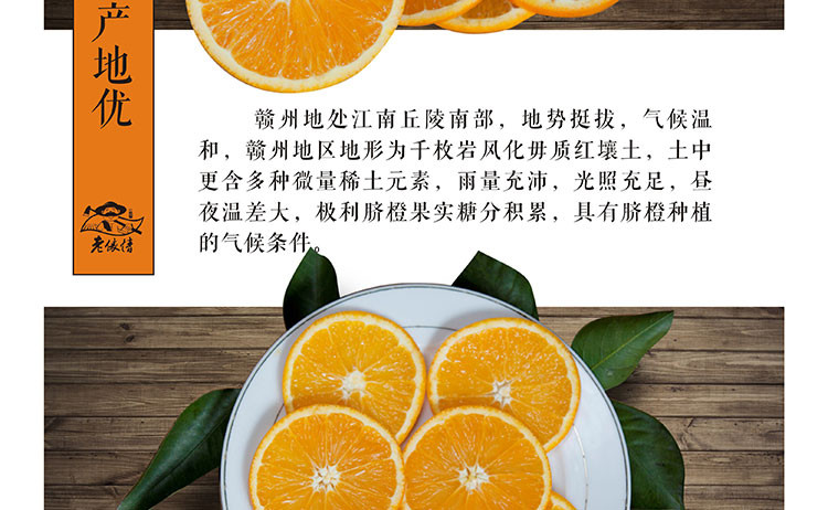 【赣州邮政直营】江西赣南脐橙5斤精品果 橙子