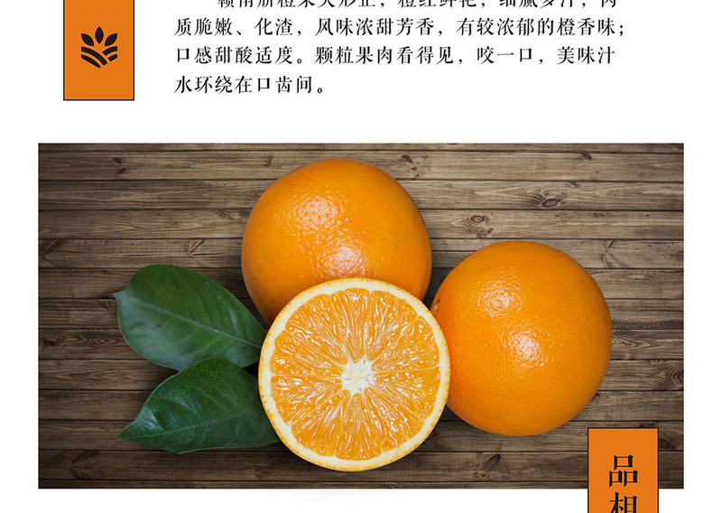 2月11日发货！赣州邮政直营！江西特产赣南脐橙4个精品果橙子（果径70-75mm）