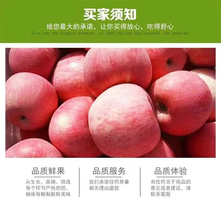 农家自产 山西运城临猗冰糖心苹果带箱9.5斤（80mm 以上）包邮