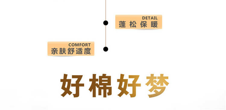 精新新疆棉花冬被超柔棉花被学生棉被冬棉絮被芯220*240/10斤