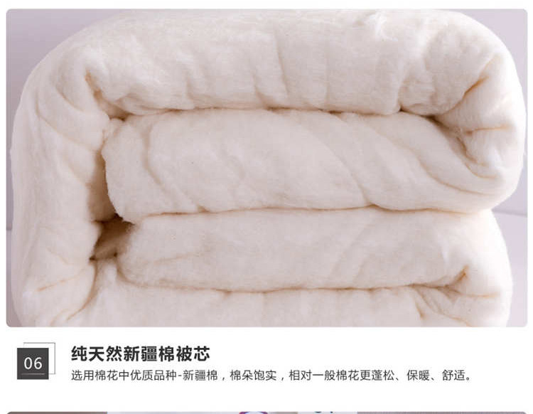 精新新疆棉花冬被超柔棉花被学生棉被冬棉絮被芯180*220/6斤