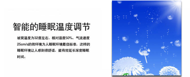 精新纯棉加棉夹棉床裙式四件套 绗缝式床裙加厚套件床裙1.8M+被套2M