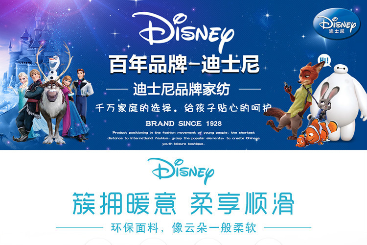 迪士尼/DISNEY 疯狂动物城云毯 超柔拉舍尔云毯 新生婴儿毯子 学生毯 空调毯 100X110