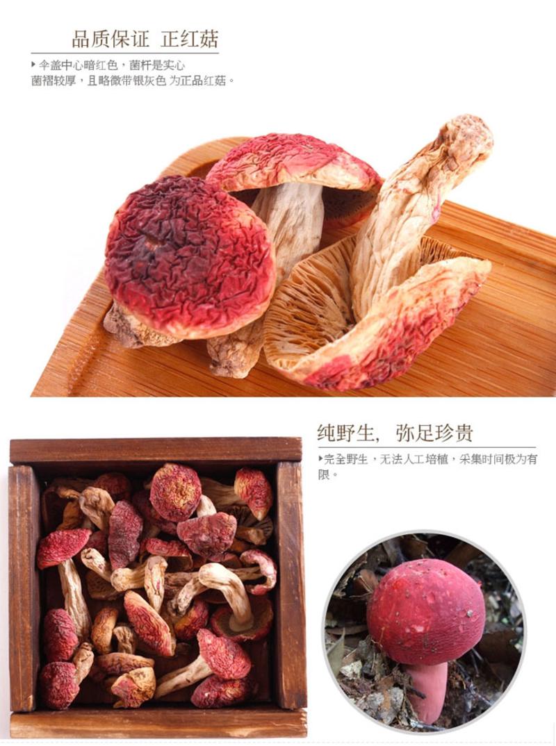 福建特产 红菇 野生正红菇 特级干货 福建武夷山特产天然小红菇 250g