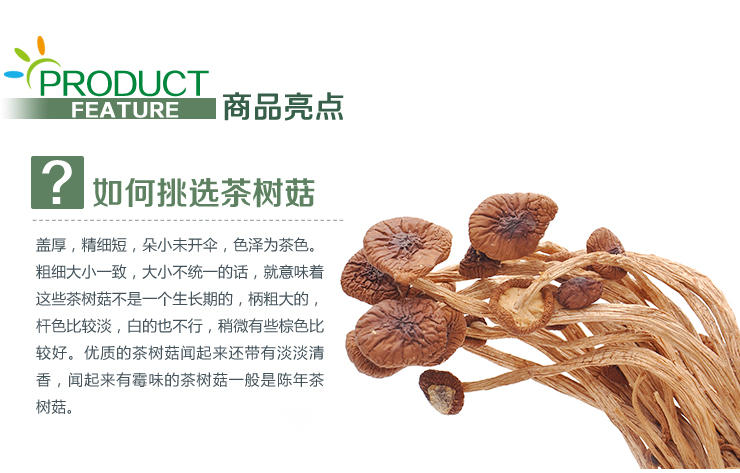 福建特产 茶树菇  正宗特级新货茶树菇 天然无公害茶树菇  250g