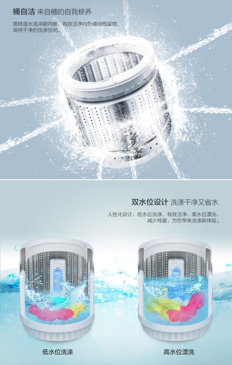 Haier/海尔 洗衣机 EB55M2W 5.5公斤 桶自洁 波轮洗衣机