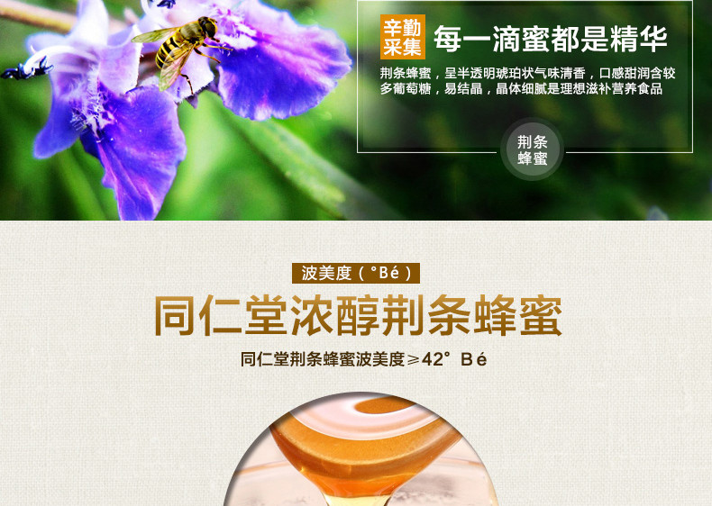 北京同仁堂荆条蜂蜜800g 玻璃瓶装正宗蜂蜜 旗舰店正品荆条蜜