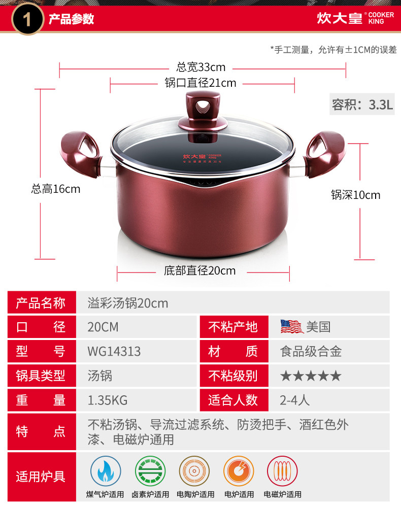 炊大皇 汤锅煲汤锅小汤锅 不粘汤锅 溢彩复底电磁炉通用锅 20CM