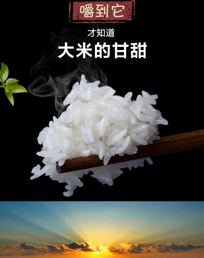 十月稻田 东北黑龙江五常稻花香大米500g 农家自产生态粳米香米