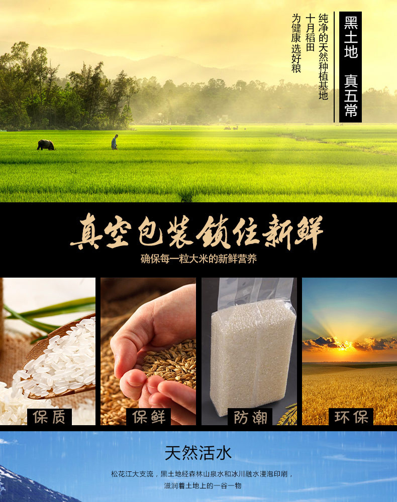 十月稻田 东北黑龙江五常稻花香大米500g 农家自产生态粳米香米