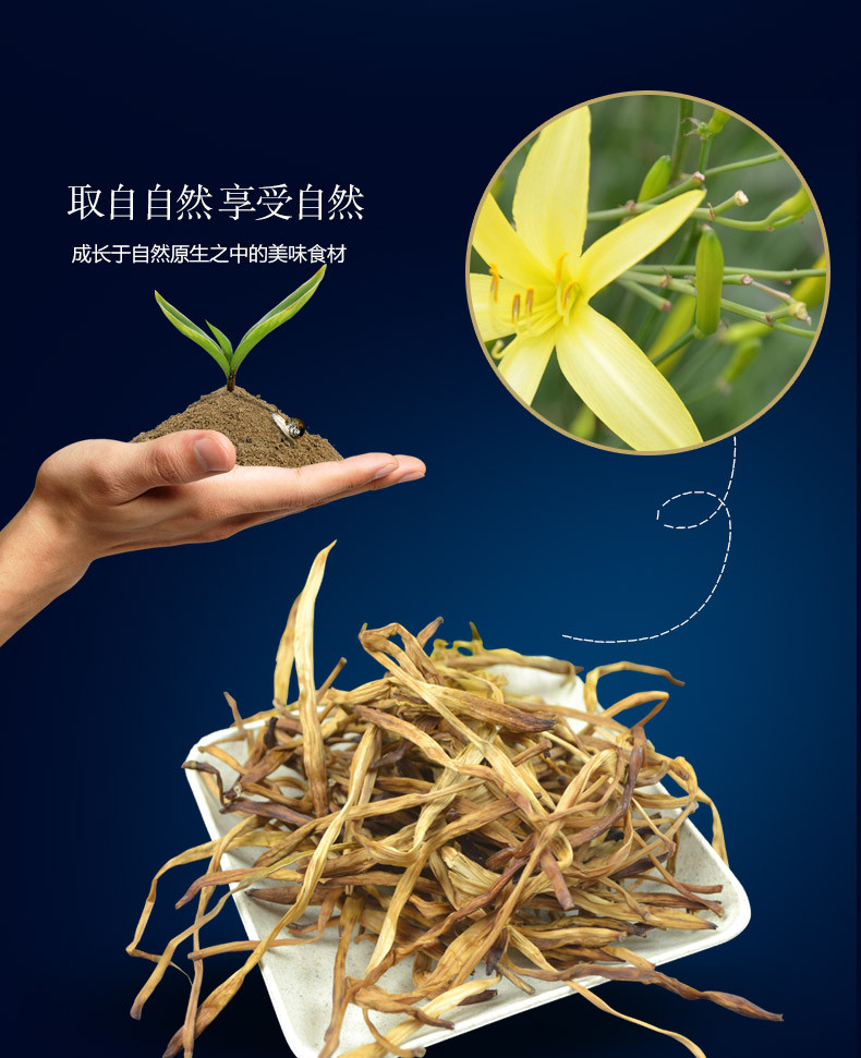 九鲤湖 黄花菜 无硫农家金针菜干货特产忘忧草 粮油米面粗粮200g