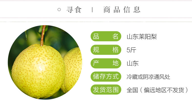 山东烟台正宗莱阳梨5斤脆甜应季新鲜水果非鸭梨丰水梨水晶梨砀山