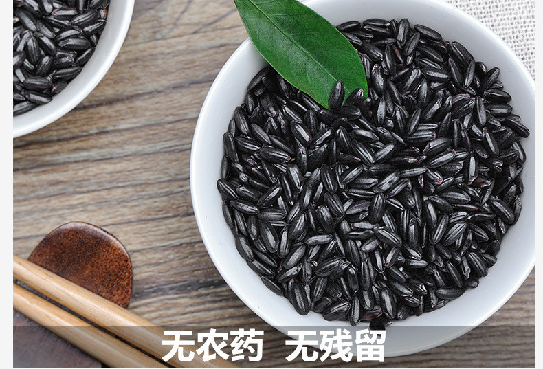 【方家铺子_有机黑米】东北紫米 新米 粗米 黑米杂粮 黑香米 500g