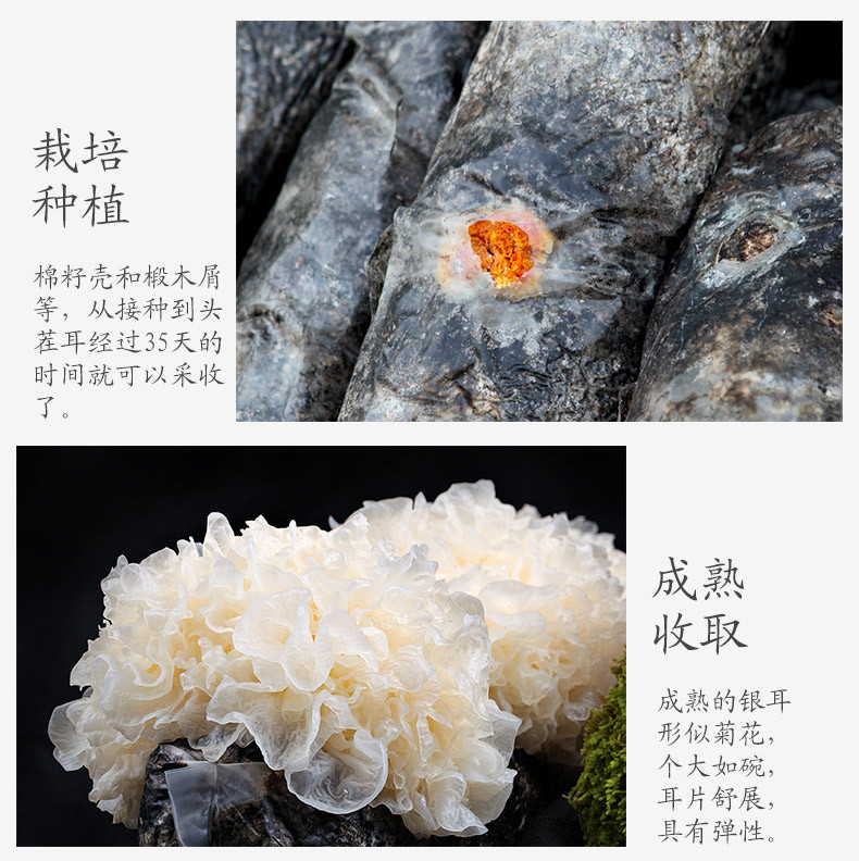 【方家铺子_雪耳】古田银耳 干货菌菇特产 白木耳 农家特产160g