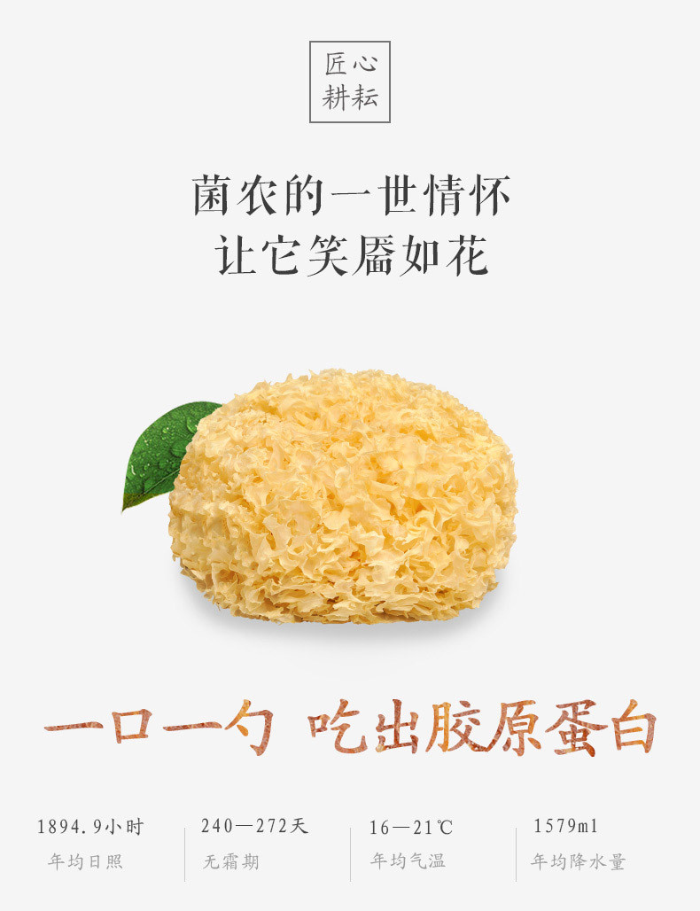 【方家铺子_雪耳】古田银耳 干货菌菇特产 白木耳 农家特产160g