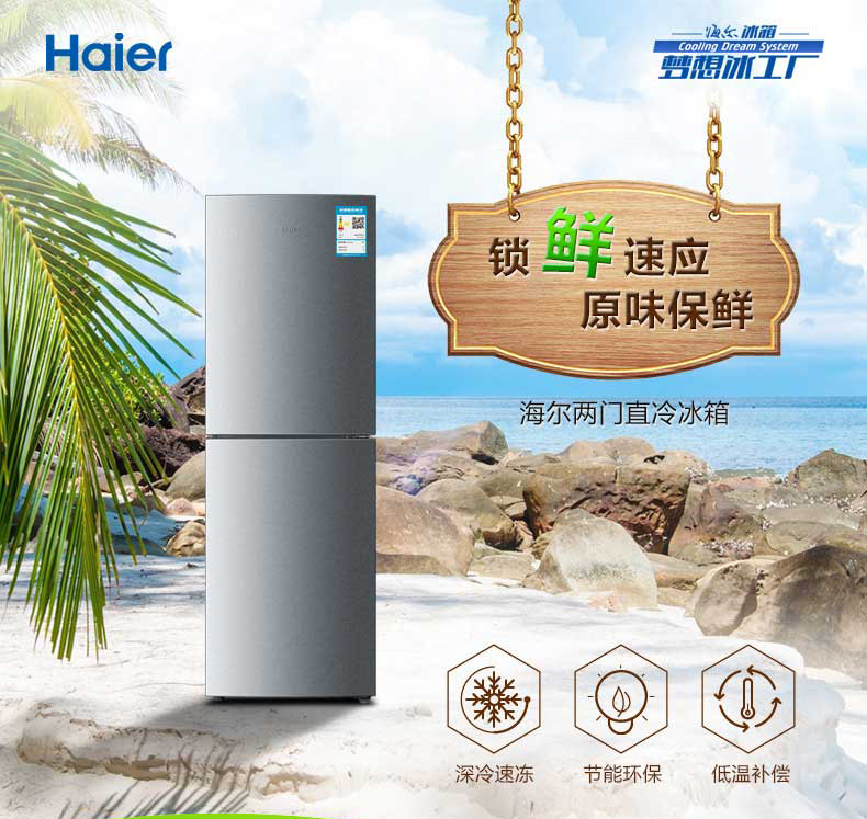 Haier/海尔 BCD-160TMPQ 160升双门冷藏冷冻小型家用节能两门冰箱