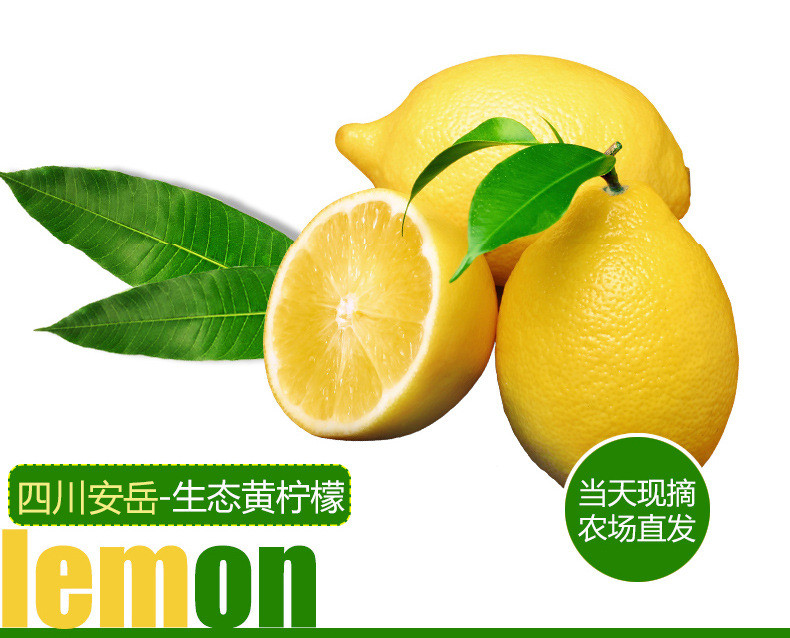 黄柠檬 四川安岳新鲜水果现摘皮薄鲜柠檬