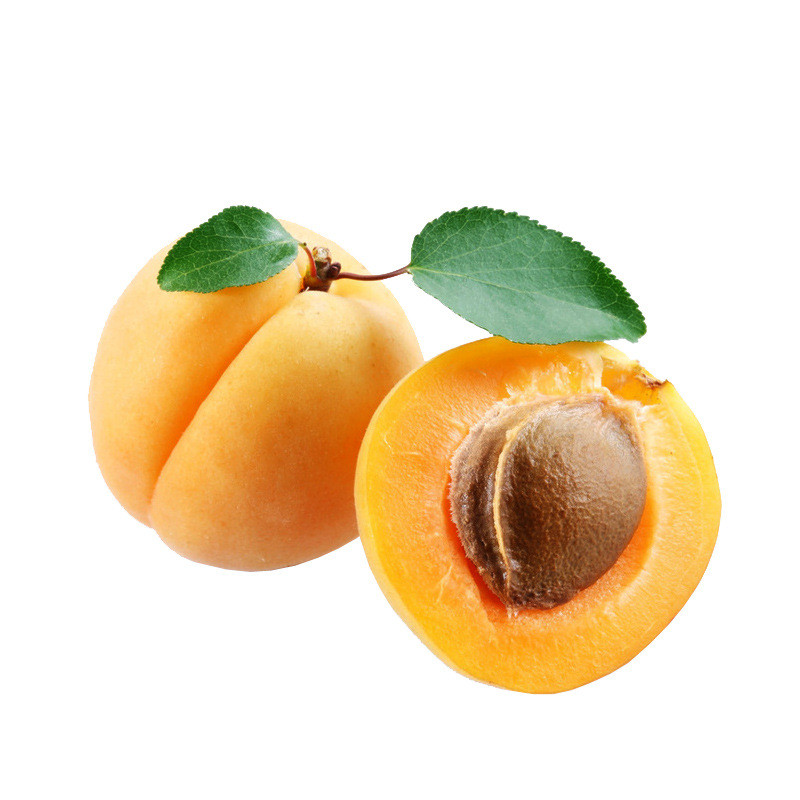 陕西凯特黄杏应季新鲜水果现摘现发大棚杏子