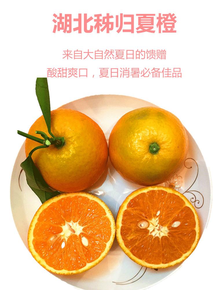 秭归夏橙新鲜薄皮橙子当季榨汁水果
