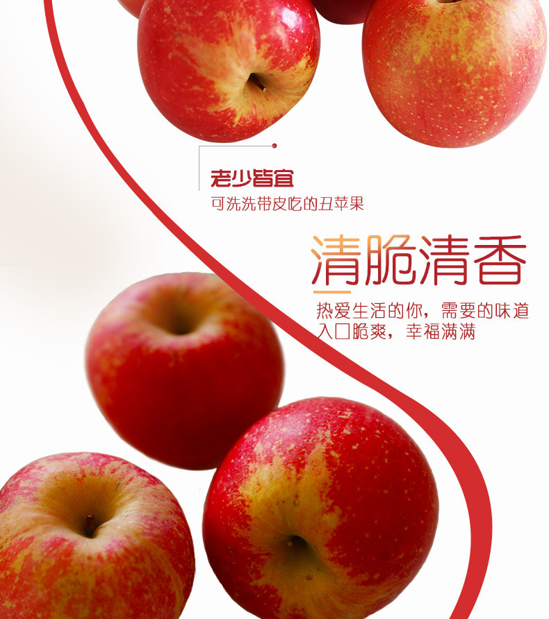 烟台苹果水果新鲜山东吃的平果红富士丑苹果