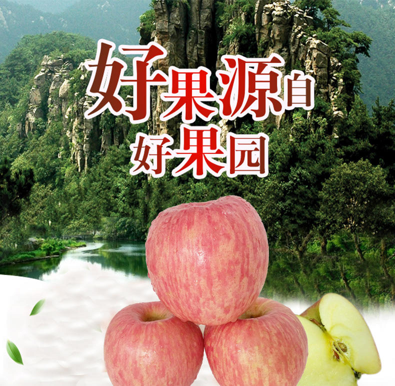 新鲜苹果水果山东烟台红富士苹果批发一整箱平果