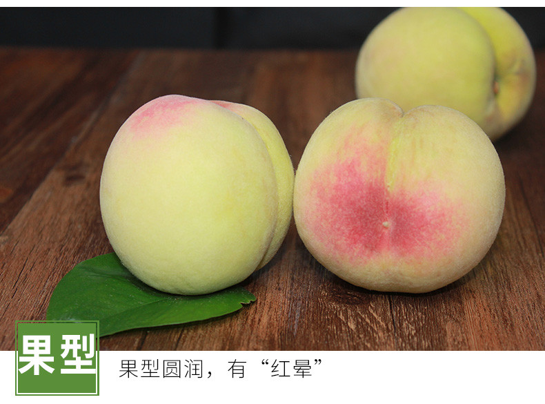 上海大团桃子新鲜水果蜜露阳山