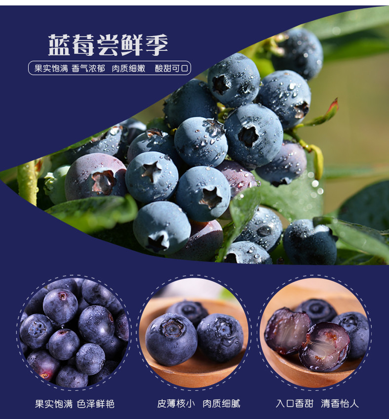 新鲜蓝莓2018年蓝莓鲜果云南现摘蓝莓新鲜水果4盒装