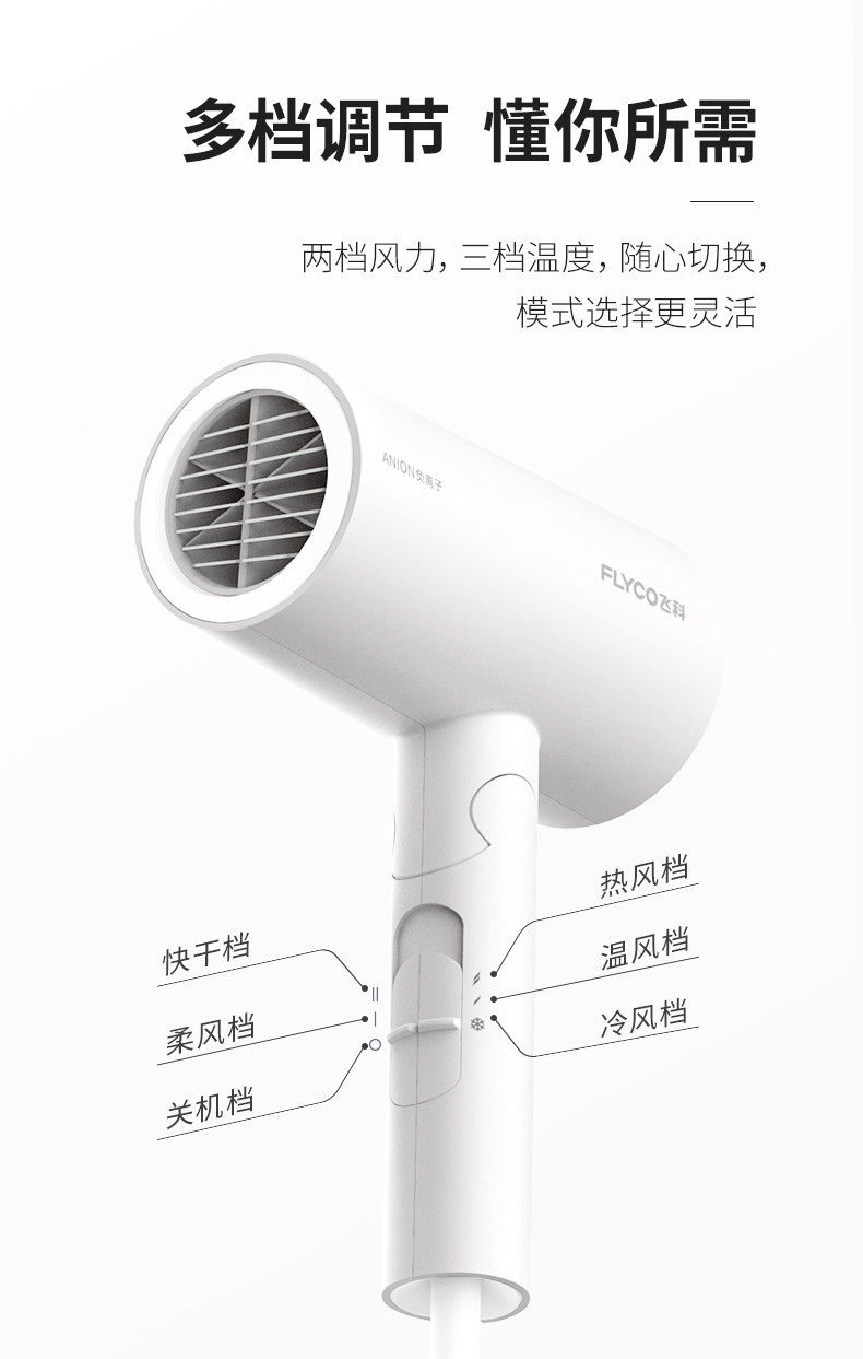 飞科/FLYCO 电吹风机家用学生宿舍护发不伤发网红静音负离子吹风筒FH6276