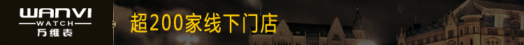 万维WANVI 603系列 手表 男表 自动机械表 30米防水 瑞士正品 蓝宝石表面