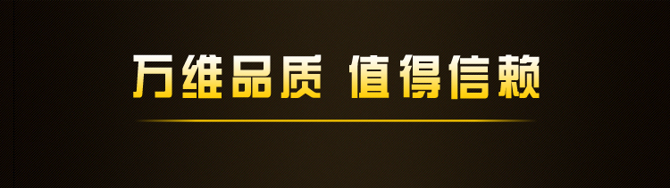 万维WANVI 603系列 手表 男表 自动机械表 30米防水 瑞士正品 蓝宝石表面