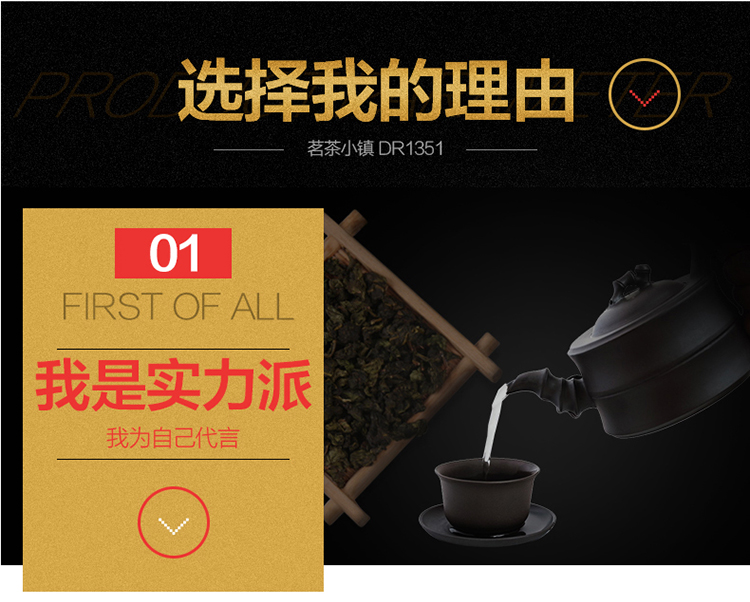 茗茶小镇 DR1351自动上水电热水壶304不锈钢电水壶三合一茶具套装