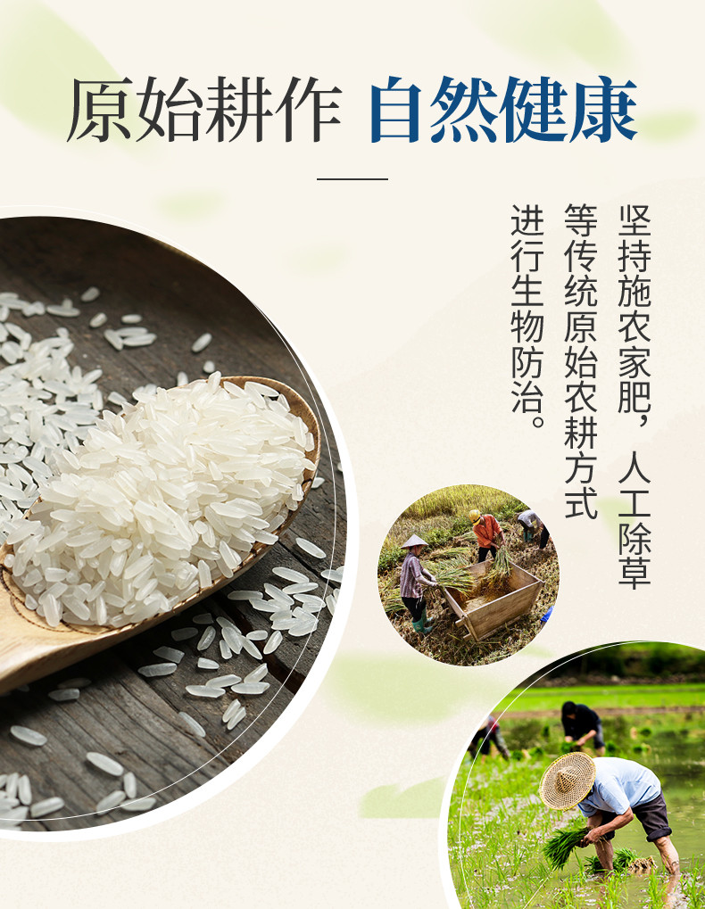 万年贡 皇阳贵妃米长粒香大米2kg