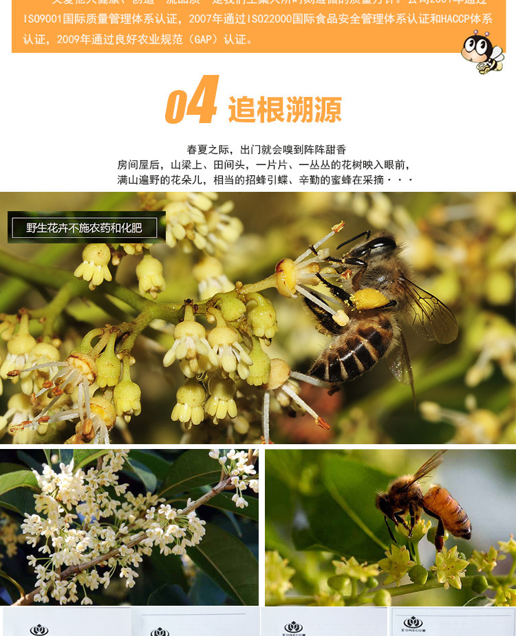 王巢 中老年蜂蜜宝 土蜂蜜百花蜜 无污染 包邮950g