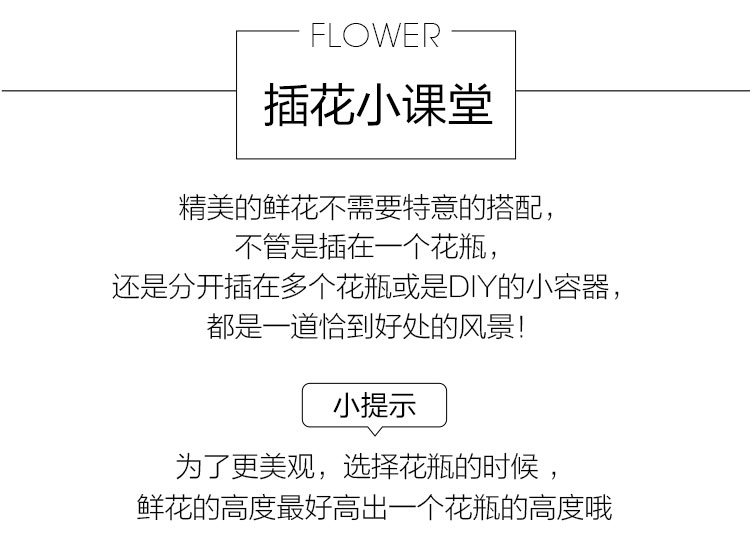 【北京馆】鲜花速递 礼物礼盒  秀雅怡情