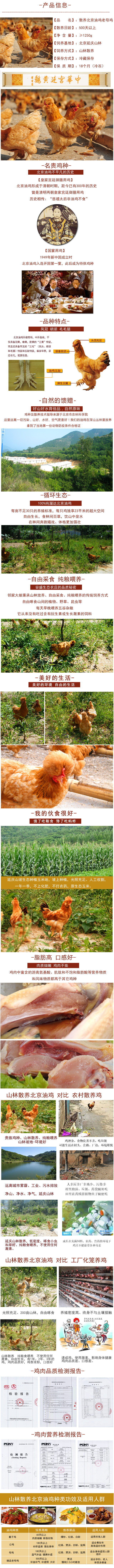 【北京馆】北京油鸡臻品母鸡500天（1只装）