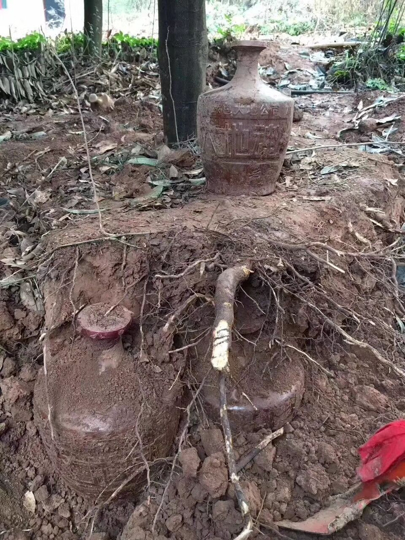 【北京馆】大地魂巍巍大汉白瓶酱香53度500ml