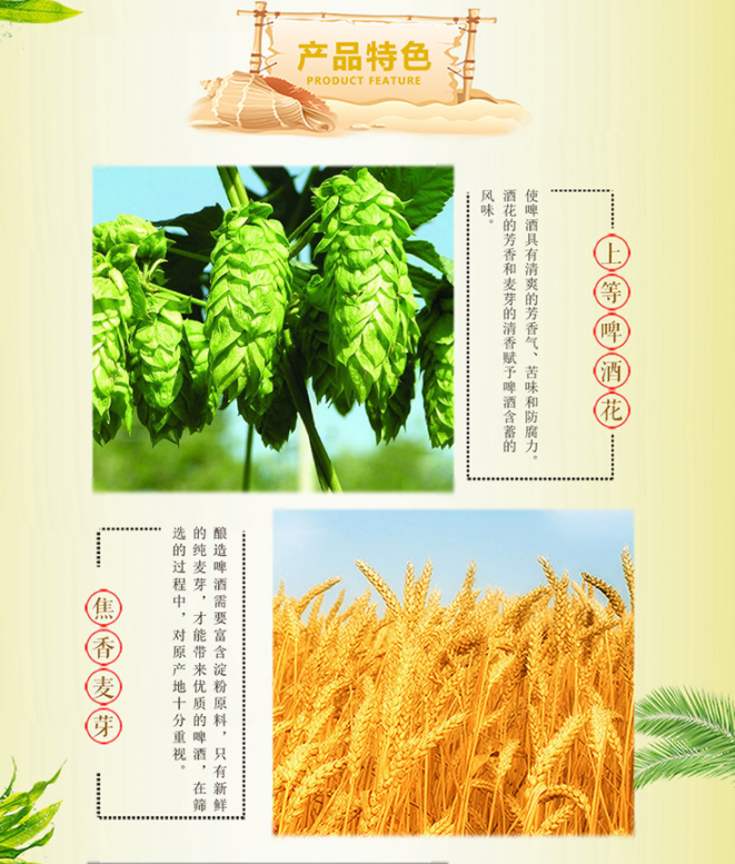 【北京馆】麦尔斯骑士黑啤500ML*24