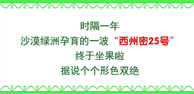 【北京馆】【邮政农品】西州密25号哈密瓜9-10斤