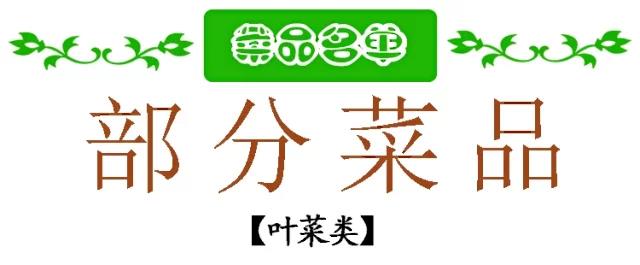 【北京馆】北京顺义本地蔬菜礼盒  十三斤  仅限北京地区购买