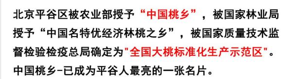 【北京馆】北京平谷大桃12个装约3kg（限北京地区邮寄）